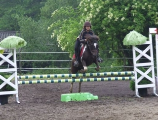  Equitación en la escuela 